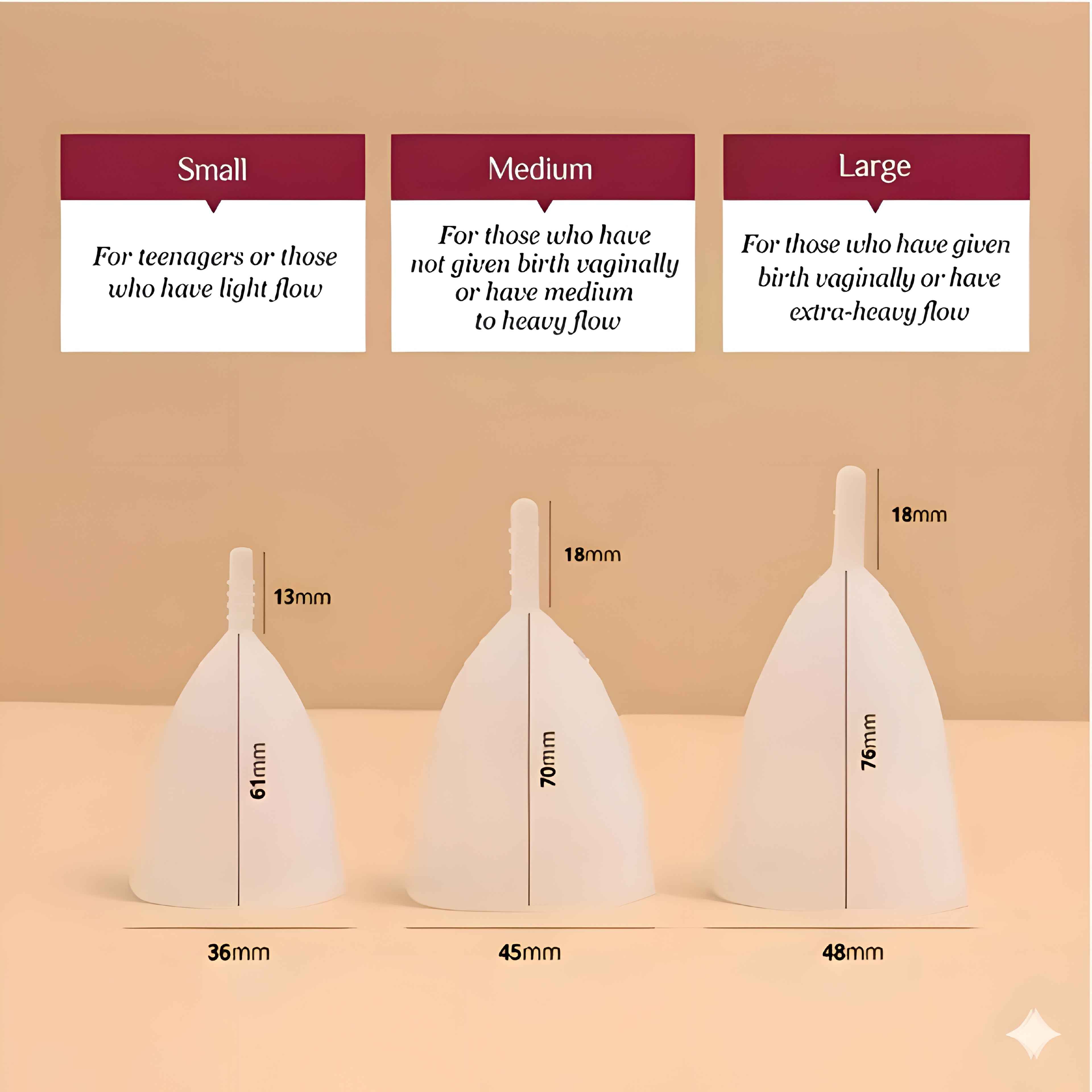 Menstrual Cup+Storage Pouch (FREE)