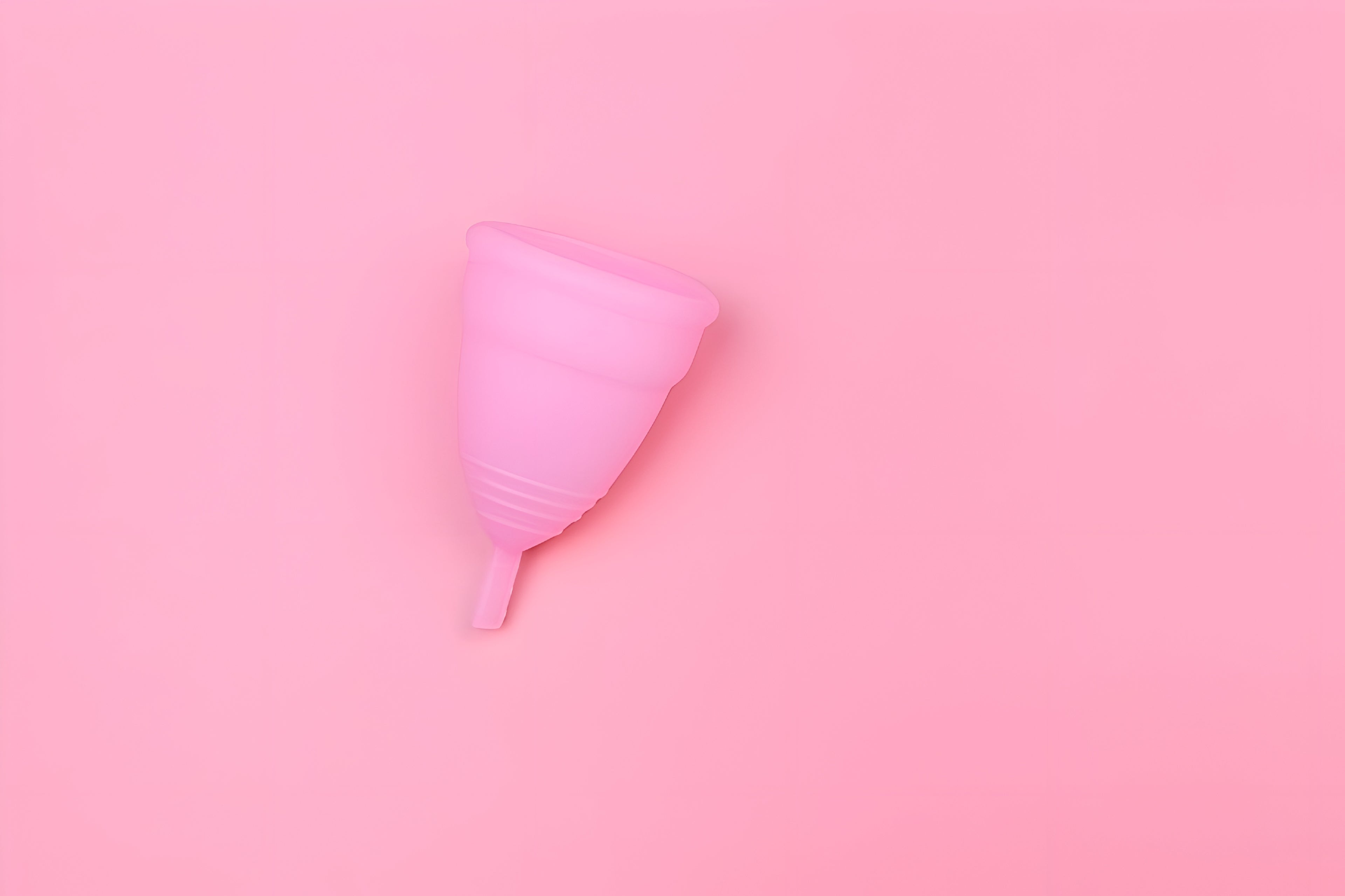 Menstrual Cup+Storage Pouch (FREE)