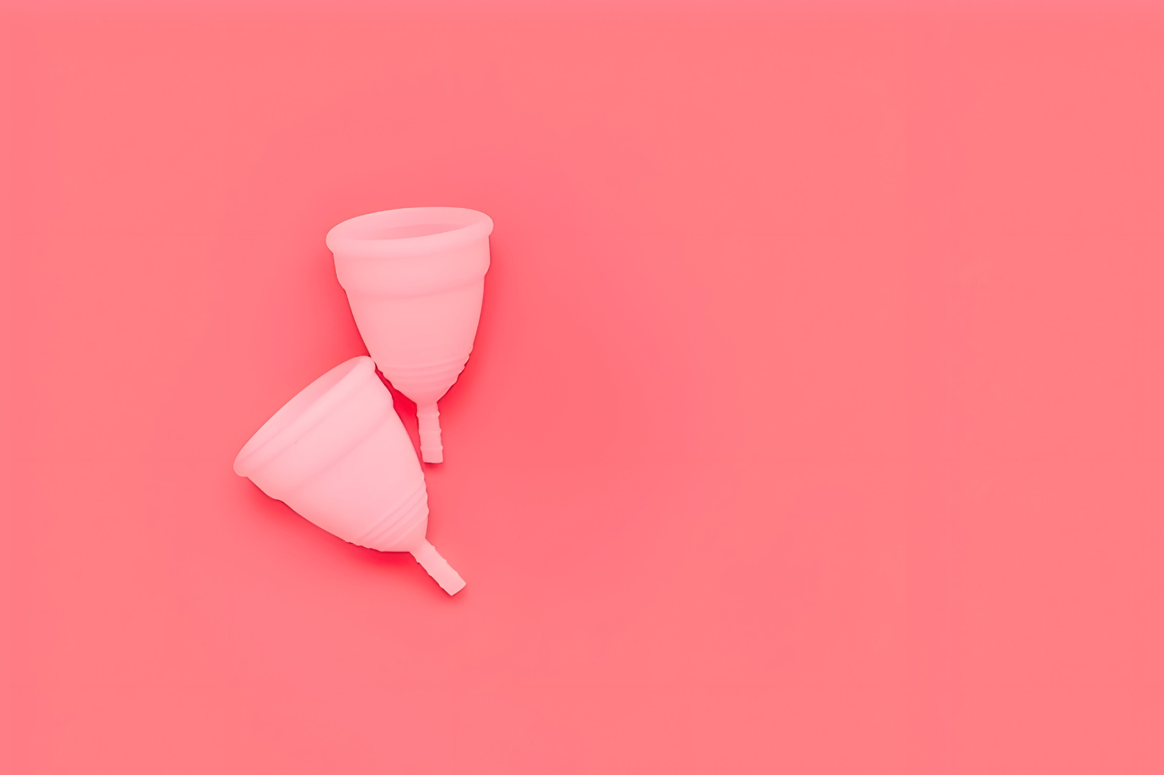 Menstrual Cup+Storage Pouch (FREE)